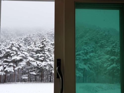 오대산힐링타운 달빛동 (Odaesan Healing Town Moonlight)