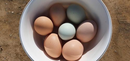 철이와미애 (Cheoli and Miae)