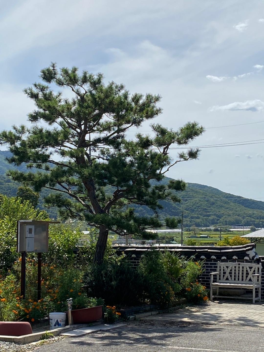 파주 한옥스테이 (Paju Hanok Stay)