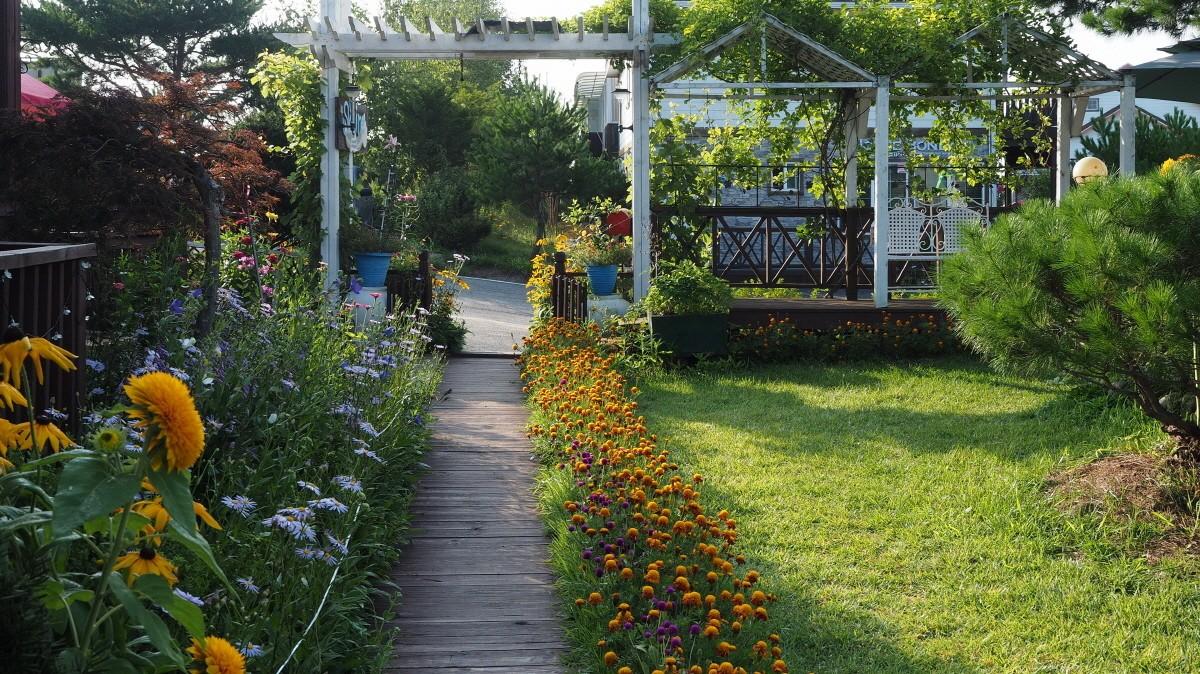 평창 스카이라인 펜션 (Pyeongchang Skyline Pension)