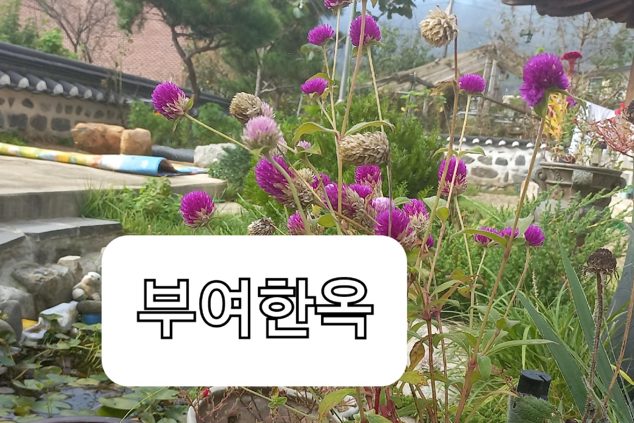 부여읍의 프라이빗 하우스 (19m², 침실 1개, 프라이빗 욕실 1개) (korea관광공사가 품질인증한  부여한옥 고풍스럽고 현대식 편리함과  건강을 생각한숙소  )