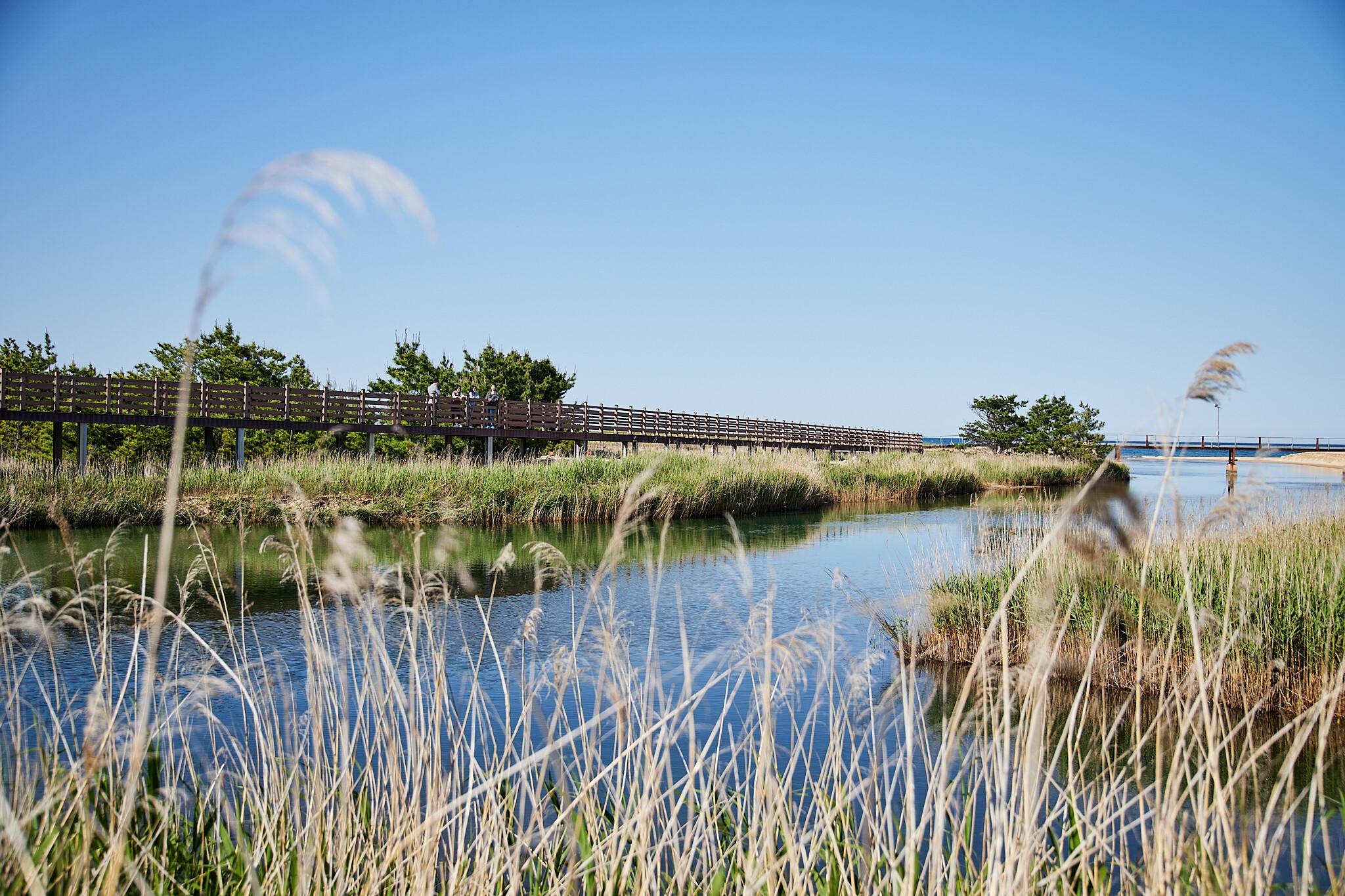 르네블루 바이 워커힐 (Renebleu by Walkerhill)