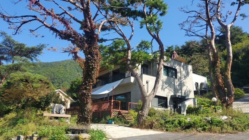 단양 갤러리하우스펜션 (Danyang Gallery House Pension)