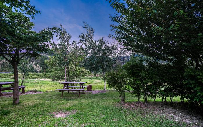 Songjeong Village Tree Flower Auto Camping Site