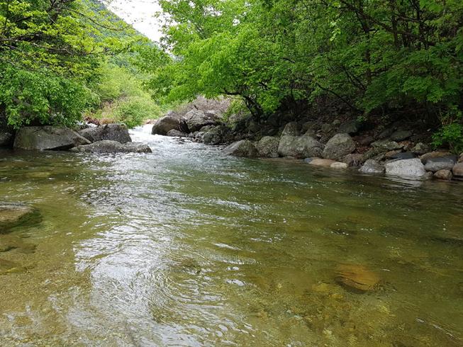 Sobaeksan Biroo Auto Park Camping & Pension