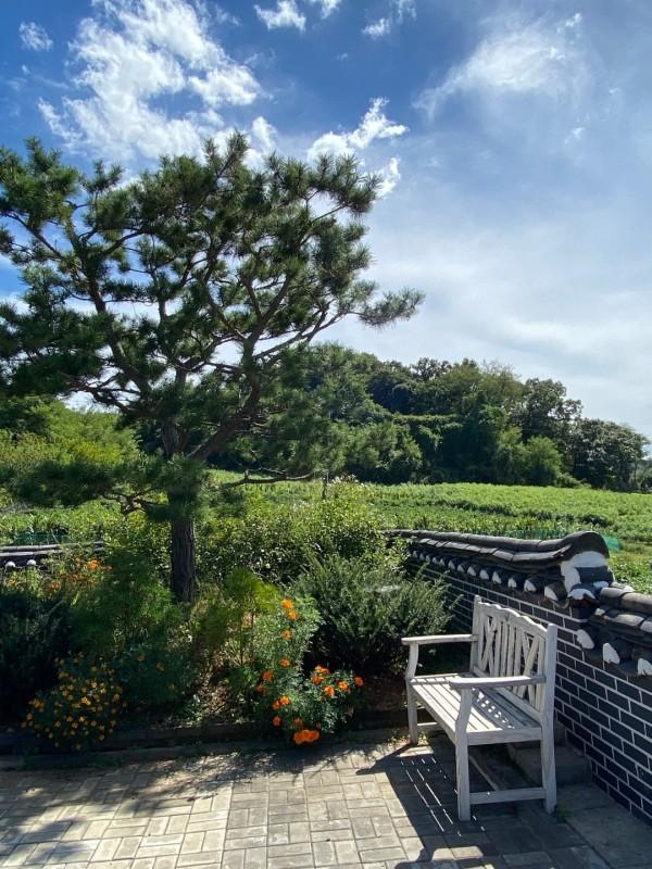 파주 한옥펜션 (Paju Hanok Pension)