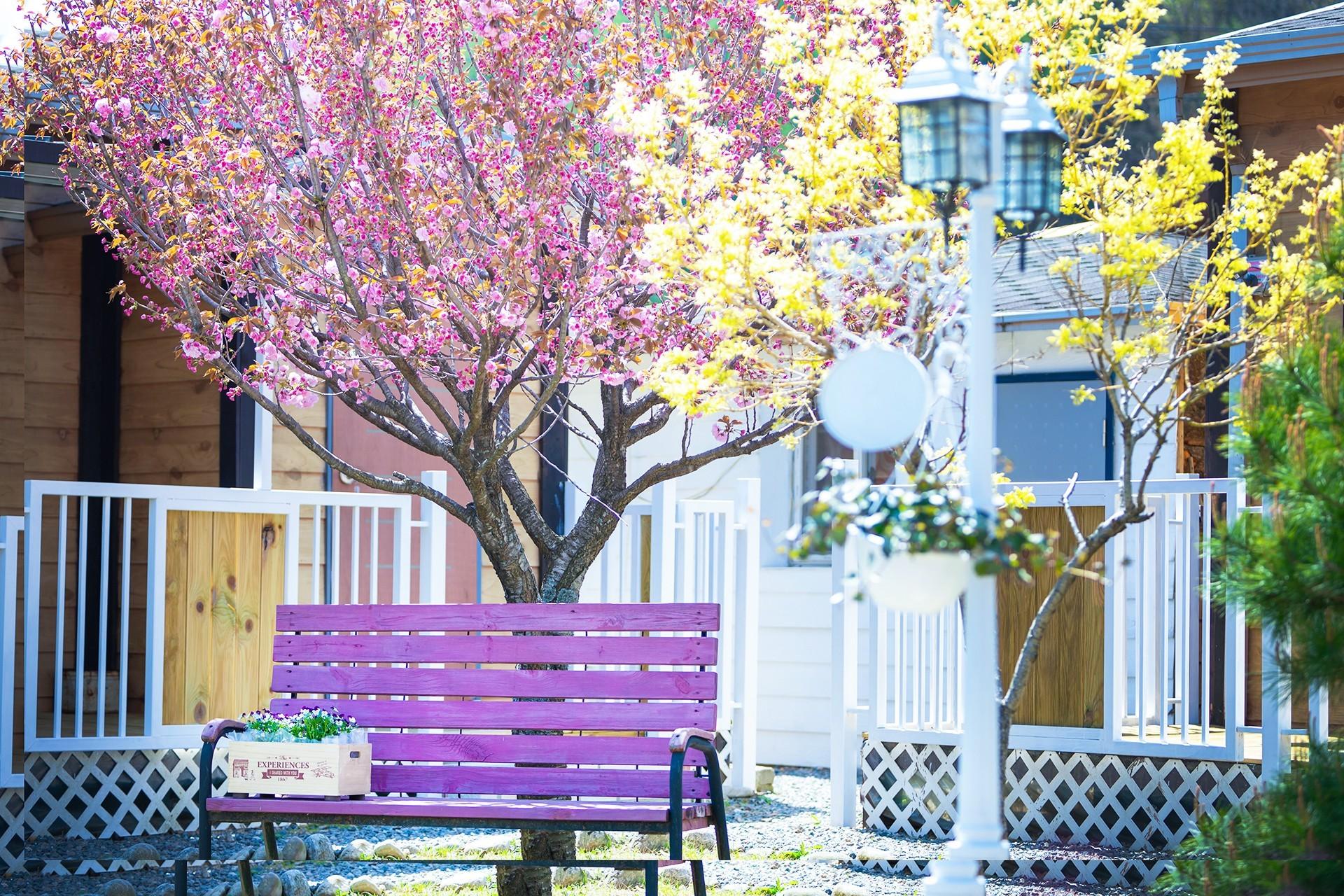 양양 스위트 펜션 (Yangyang Suite Pension)