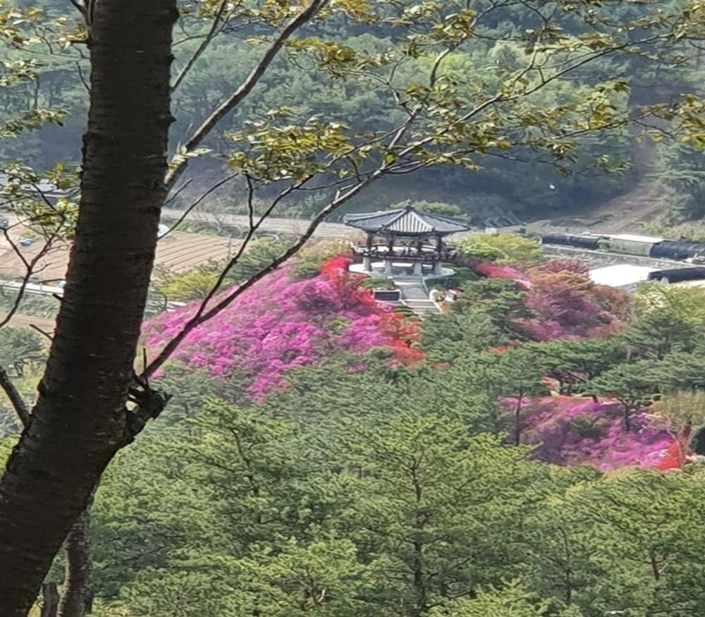 용호강 황토 펜션 홍천 (Yonghogang Red Clay Pension Hongcheon)