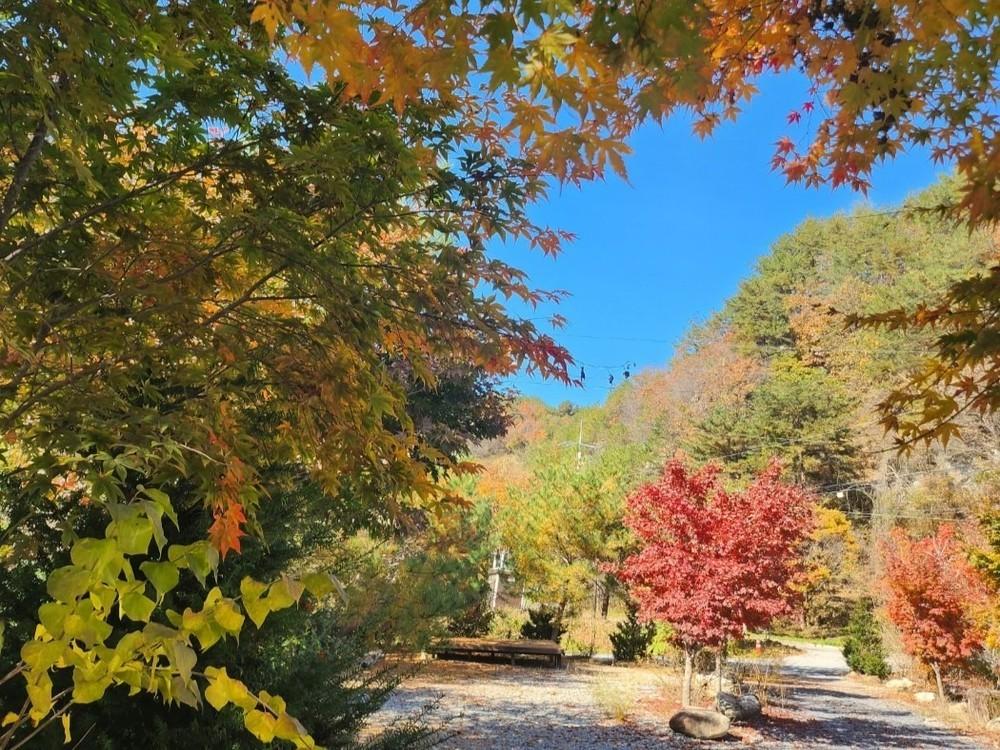 단양 하늘마루 독채 펜션 (Danyang Haneulmaru Private Pension)