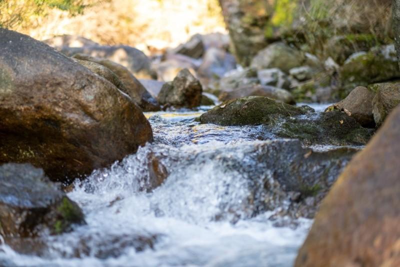 단양 라온솔펜션(소백산입구) (Danyang Raonsol Pension)