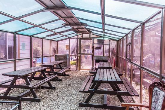 Bird Sound Pension in the Morning