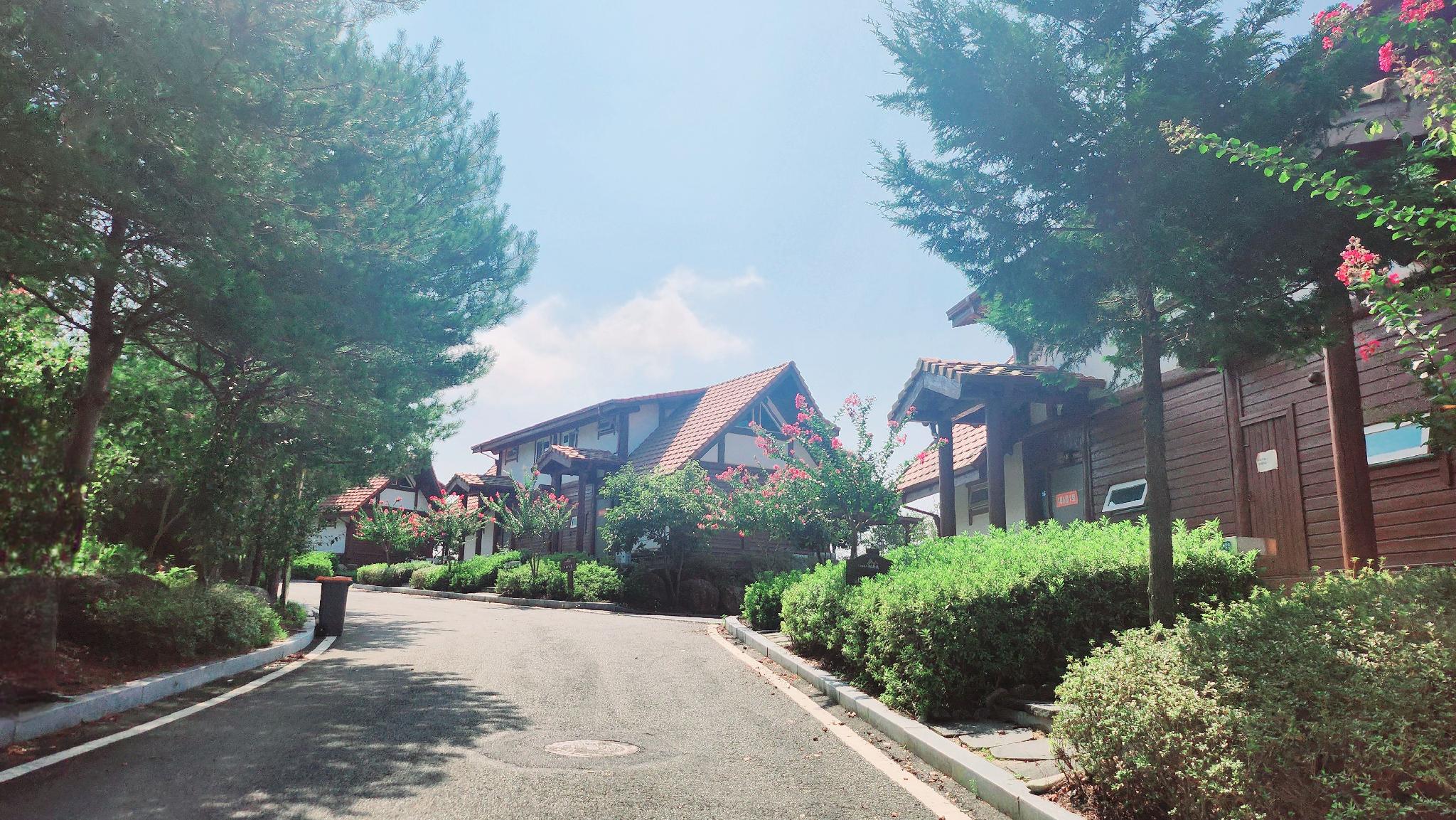 보성 녹차 리조트 (Bosung Greentea Resort)