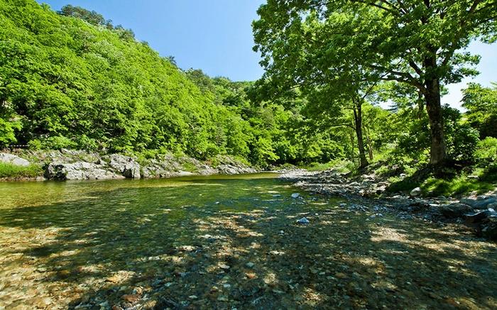 Nature and Our Pension & Camping