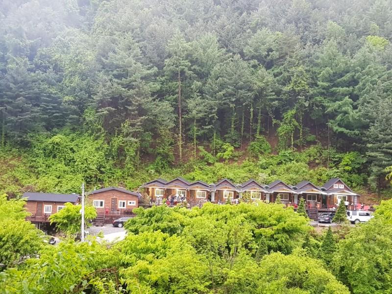 영주 소백산 비로오토파크캠핑&펜션 (Yeongju Sobaeksan Biro Auto Park Camping & Pension)