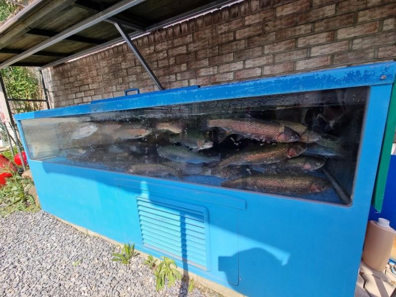 제천 힐링펜션 (Jecheon Healing Pension)