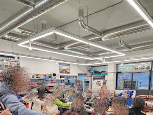 양양맛집 설악횟집 조개구이