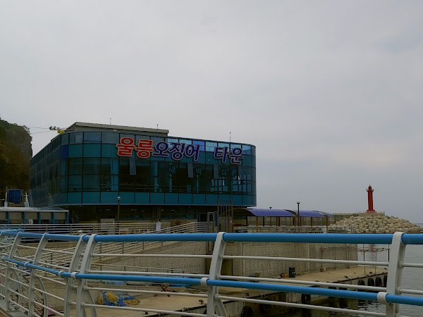 울릉오징어회타운