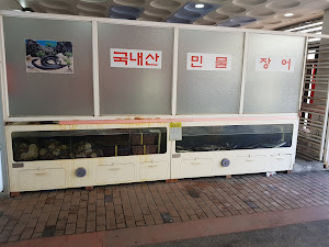 장풍대나무숯불구이