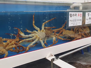 중부 회 수산시장