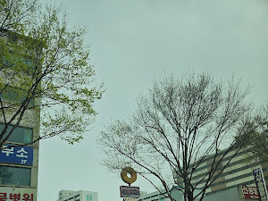 10593 베이글커피하우스