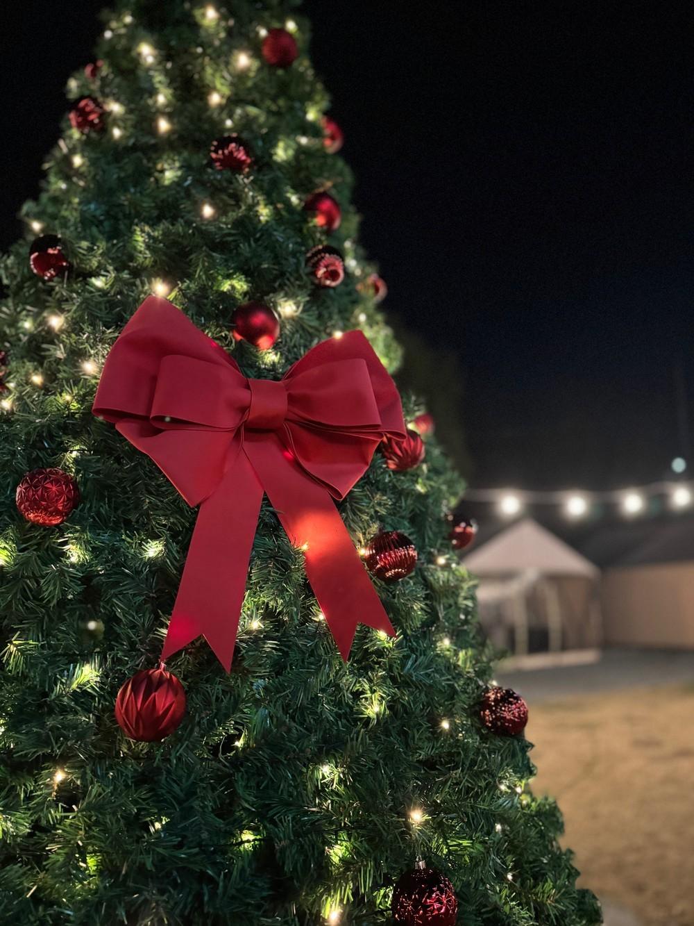 담양 라온 글램핑 (Damyang Raon Glamping)