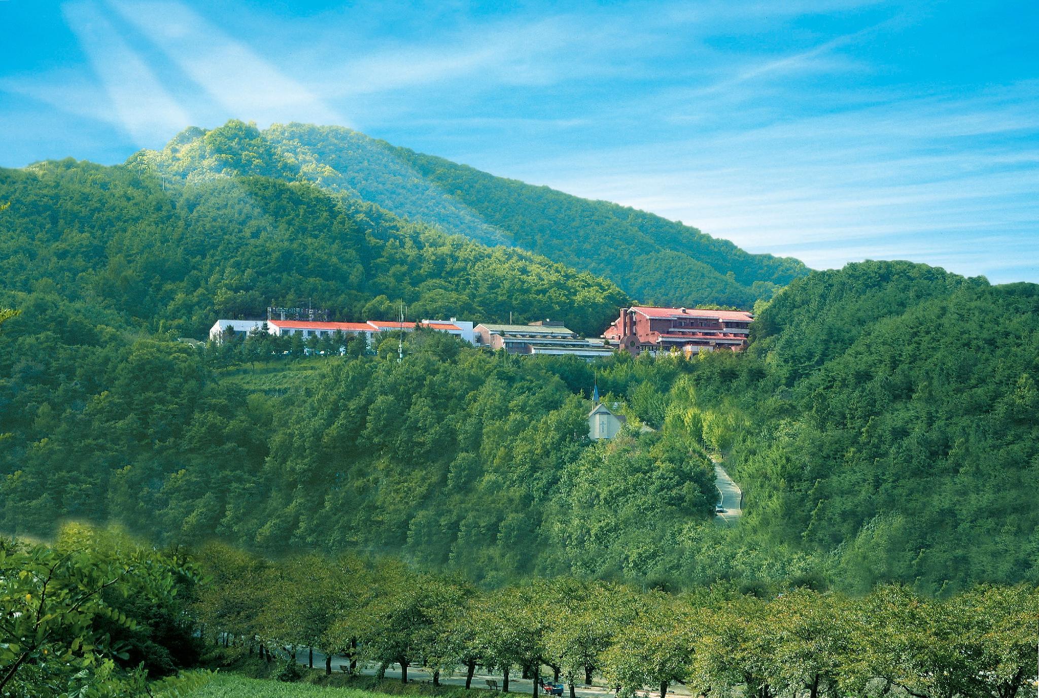 수안보 파크 호텔 (Chungju Suanbopark hotel)