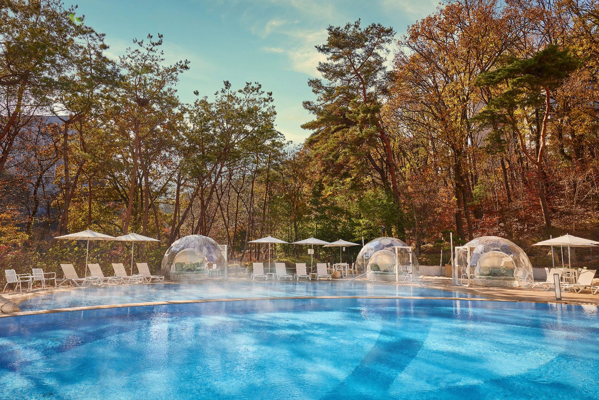 파라스파라 서울 (Paraspara Seoul)