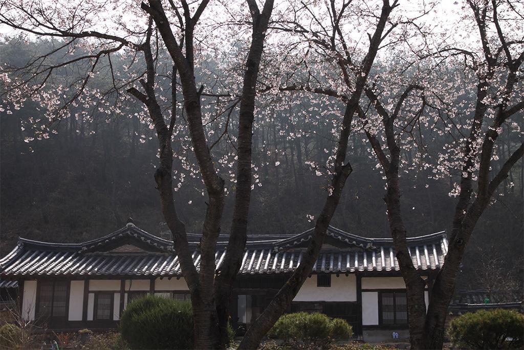 안동 군자마을 한옥스테이 (Andong Gunja Village Hanok Stay)
