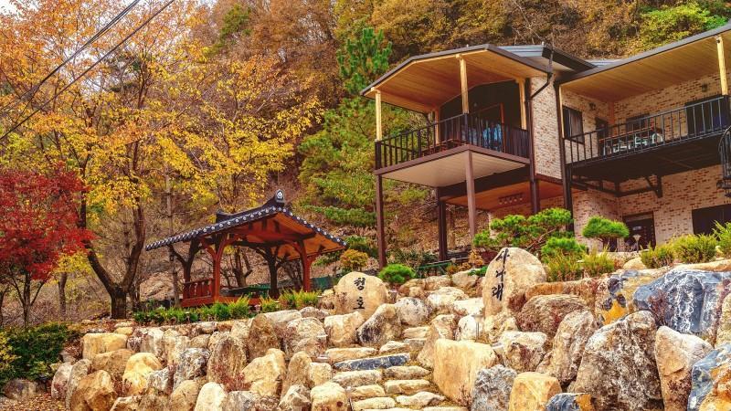 단양 사나래펜션 (Danyang Sanarae Pension)