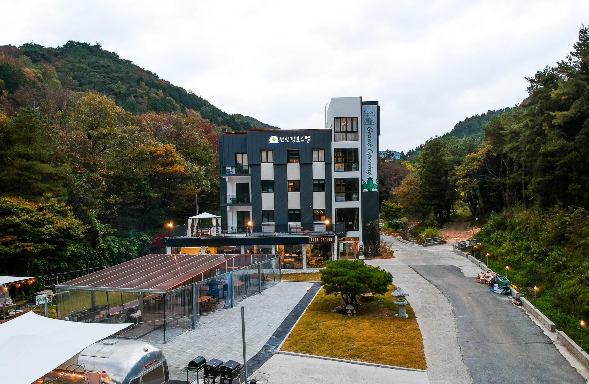 담양 선인장호스텔 (damyang suninjang hostel)