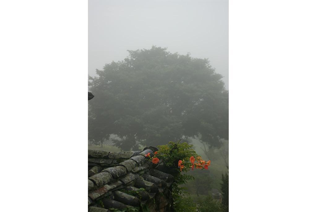 안동 군자마을 한옥스테이 (Andong Gunja Village Hanok Stay)