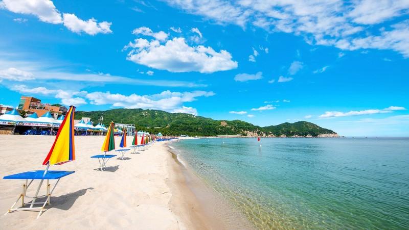 삼척 장호 굿모닝 펜션 (Samcheok Jangho Good Morning Pension)