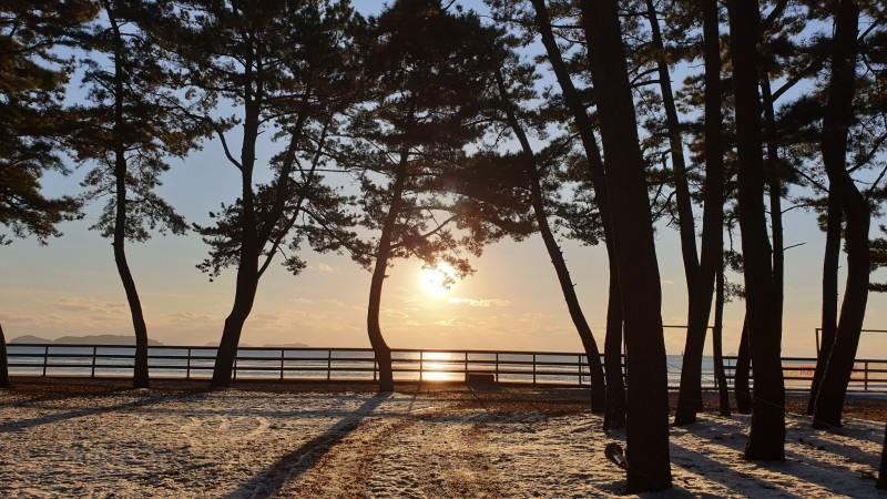 태안 파인우드비치펜션 (Taean Pinewood Beach Pension)