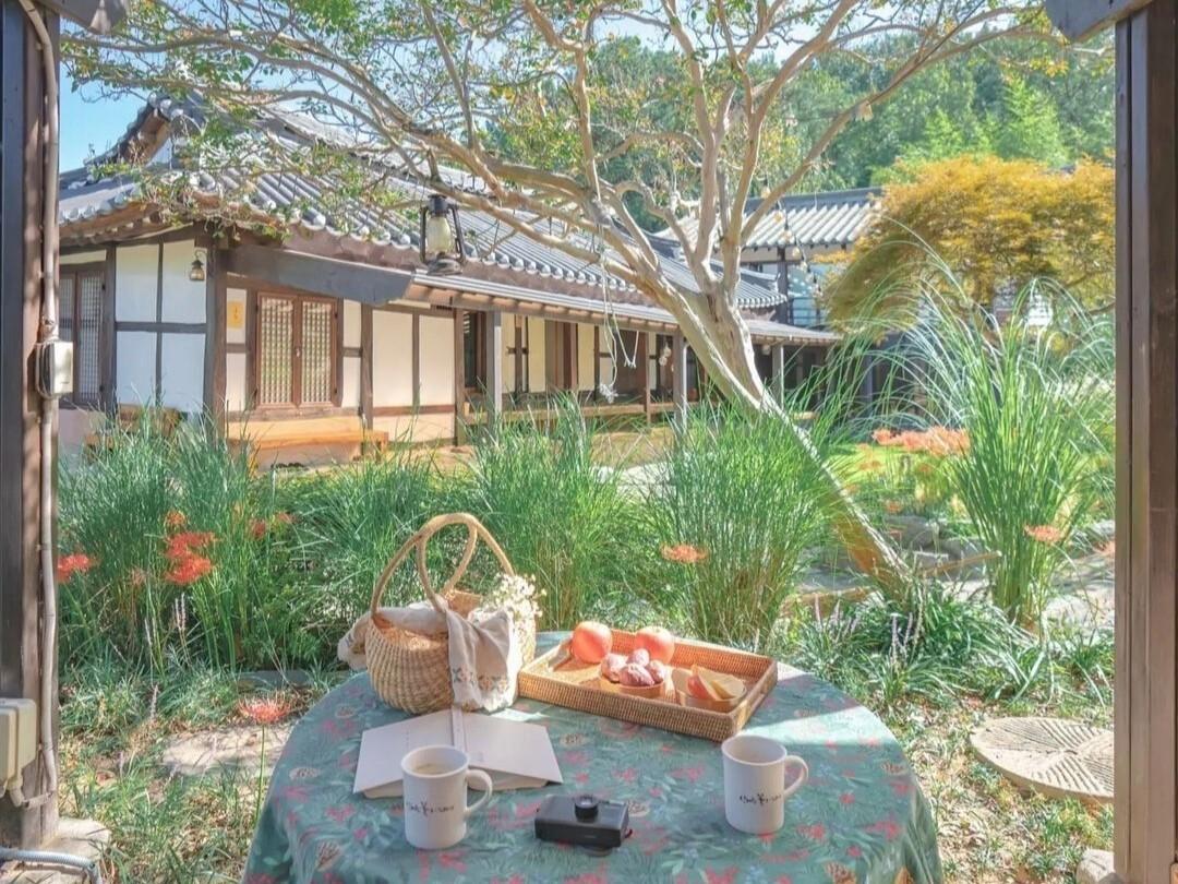 고택 산에는 꽃이피네 (Gotaeg Flowers are blooming on the mountain)