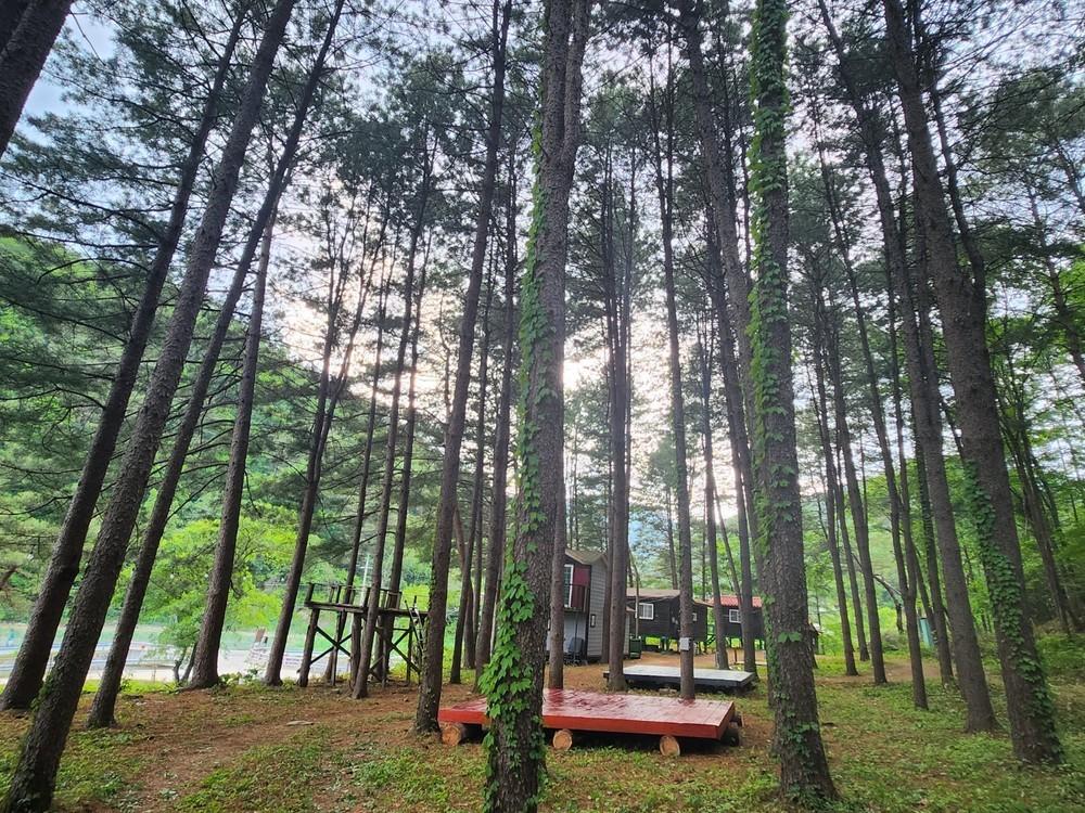 공작산휴양림펜션 (Gongjak Mountain Recreational Forest Pension)