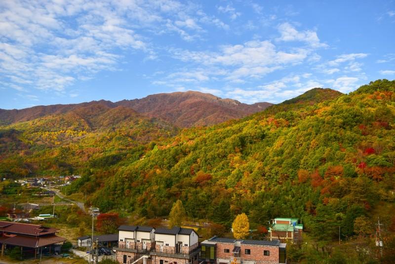 구례 피아골소안재펜션 (Gurye Piagol Soanjae Pension)