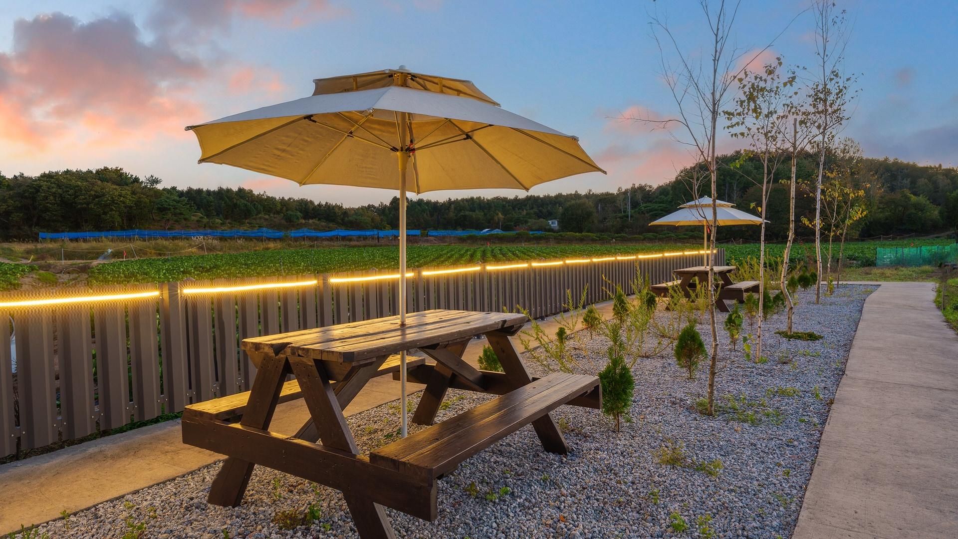 강릉 스테이다시올게 풀빌라 펜션 (Gangneung Staydasiolgae PoolvillaPension)
