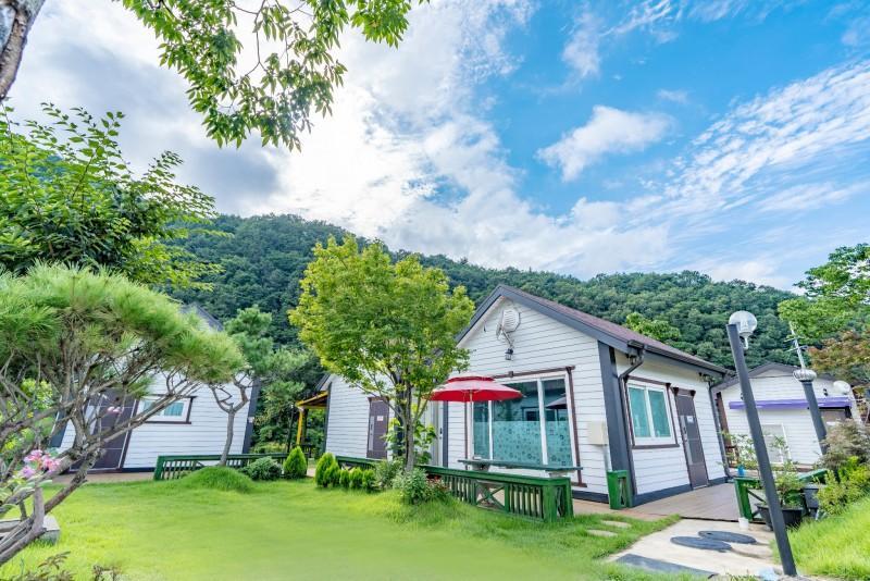 보은 숲속의하얀펜션 (Boeun Supsogui Hayan Pension)