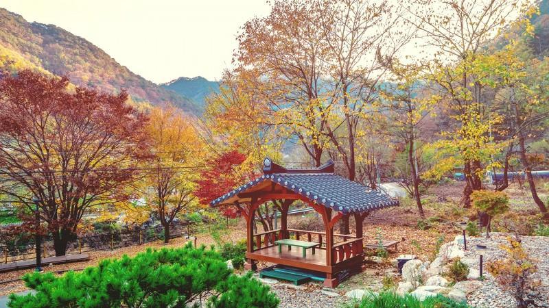 단양 사나래펜션 (Danyang Sanarae Pension)