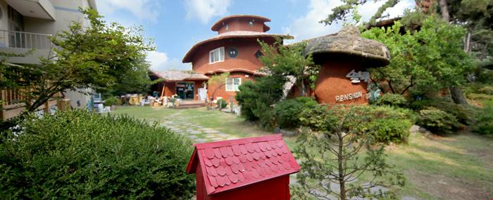 Solmoe Village Pension