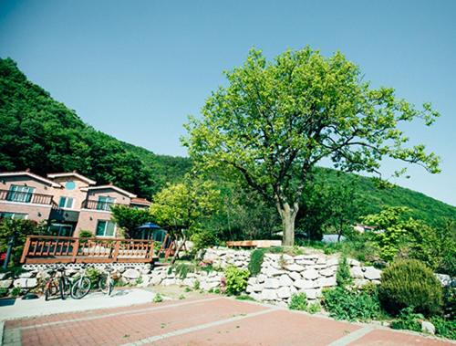 유토피아 펜션 (Utopia Pension)
