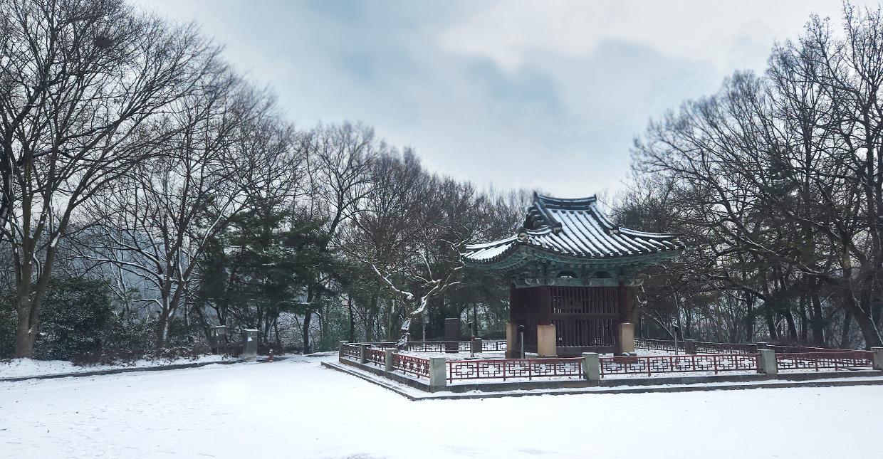 24게스트하우스 전주 (24Guesthouse Jeonju)