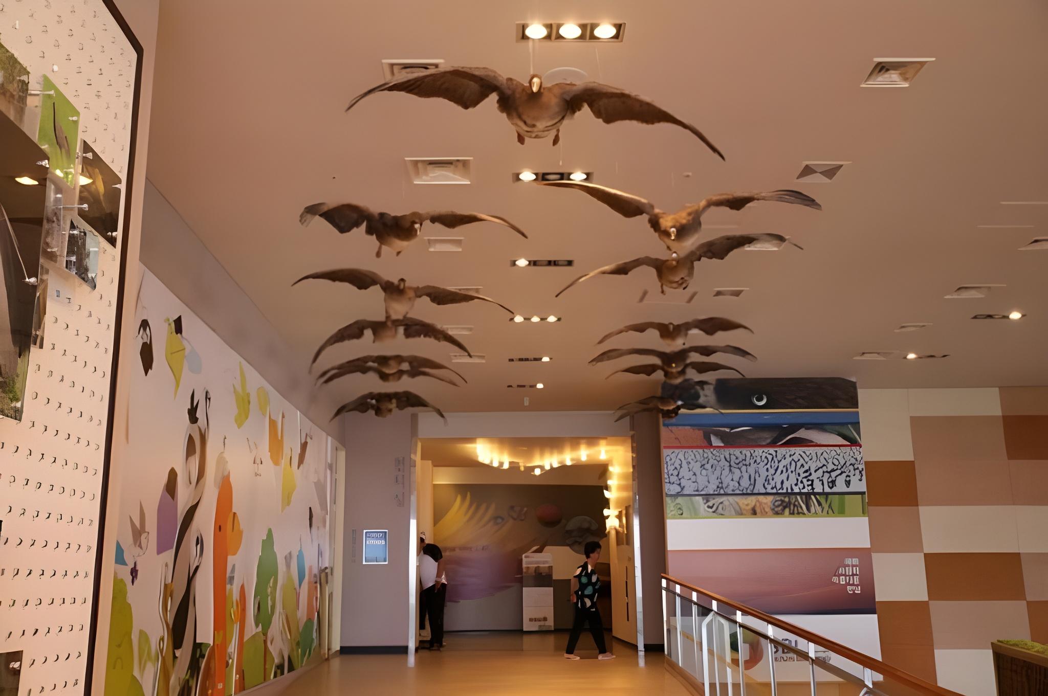 태안(안면도) 아이니펜션 (Taean (Anmyeondo) Iny Pension)