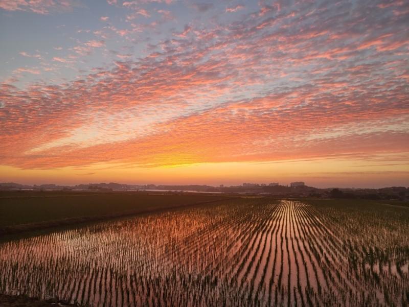 논산 서라벌펜션 (Nonsan Seorabeol Pension)