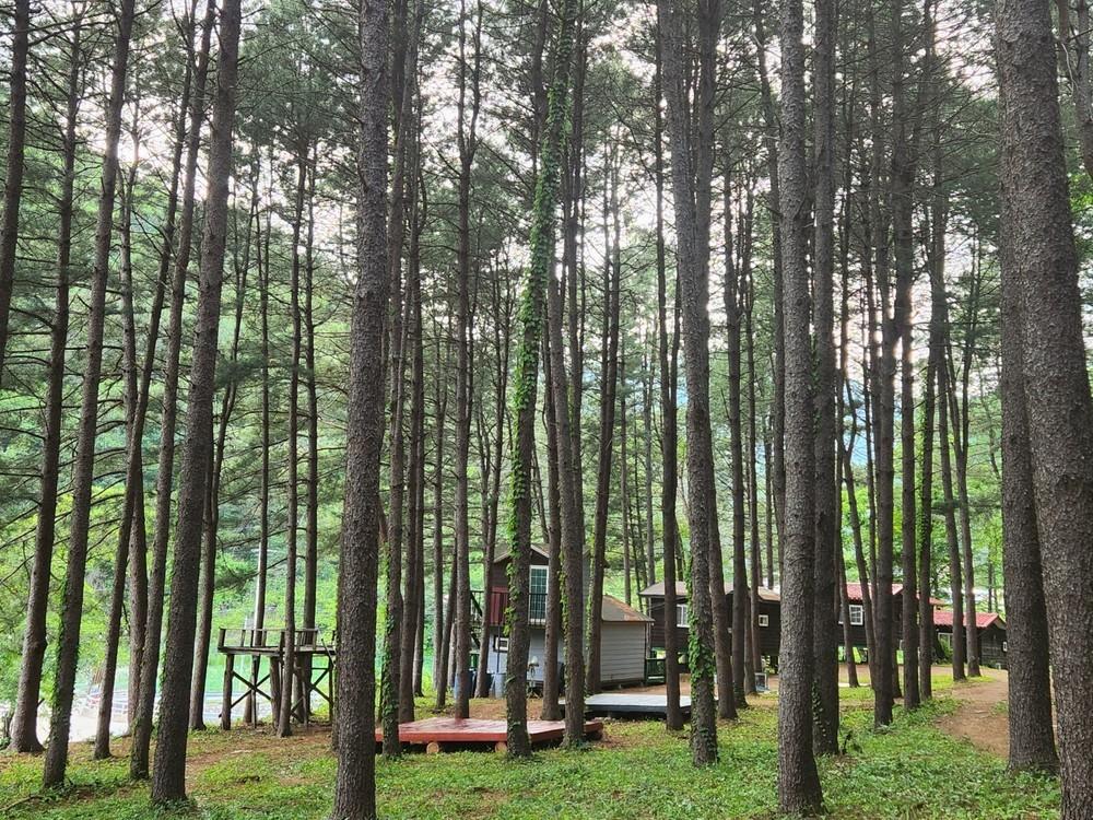 공작산휴양림펜션 (Gongjak Mountain Recreational Forest Pension)