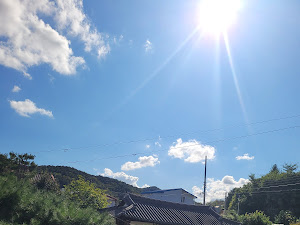 공주 로컬파스타