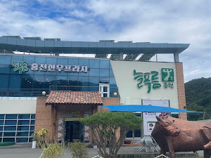 늘푸름홍천한우프라자