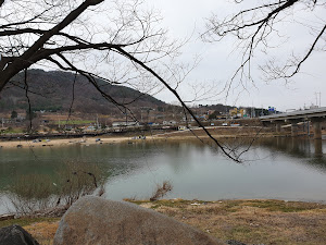 목도민물고기집