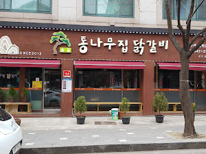 솔올통나무닭갈비