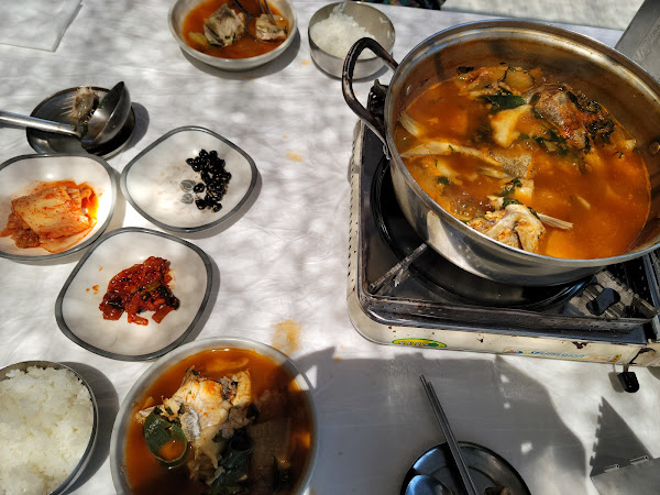시골애